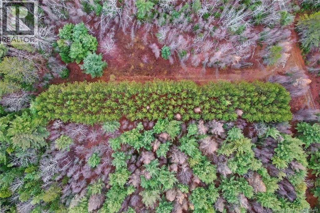 8353 Route 10, Cumberland Bay, New Brunswick  O0O 0O0 - Photo 40 - NB130729