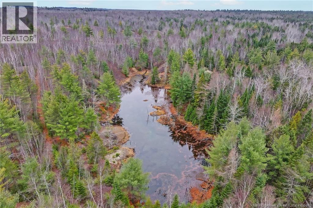 8353 Route 10, Cumberland Bay, New Brunswick  O0O 0O0 - Photo 41 - NB130729