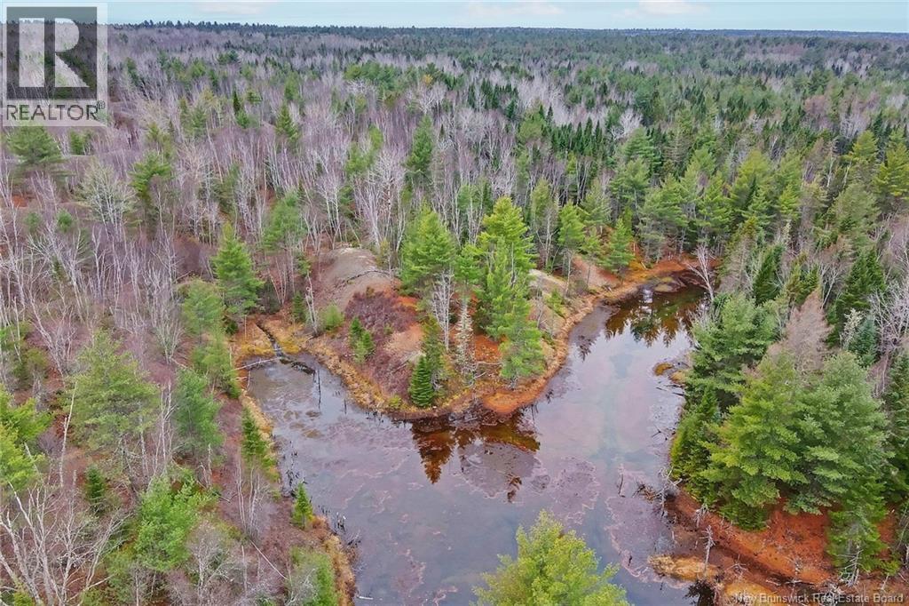 8353 Route 10, Cumberland Bay, New Brunswick  O0O 0O0 - Photo 42 - NB130729