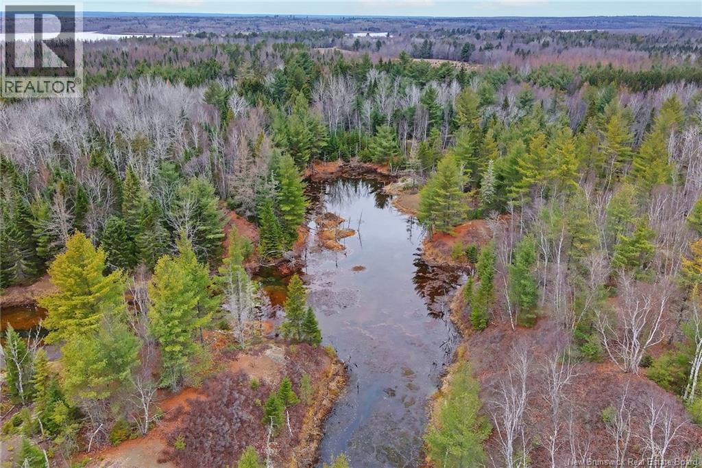8353 Route 10, Cumberland Bay, New Brunswick  O0O 0O0 - Photo 43 - NB130729