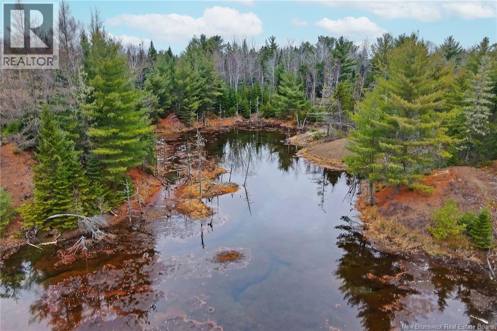 8353 Route 10, Cumberland Bay, New Brunswick  O0O 0O0 - Photo 44 - NB130729