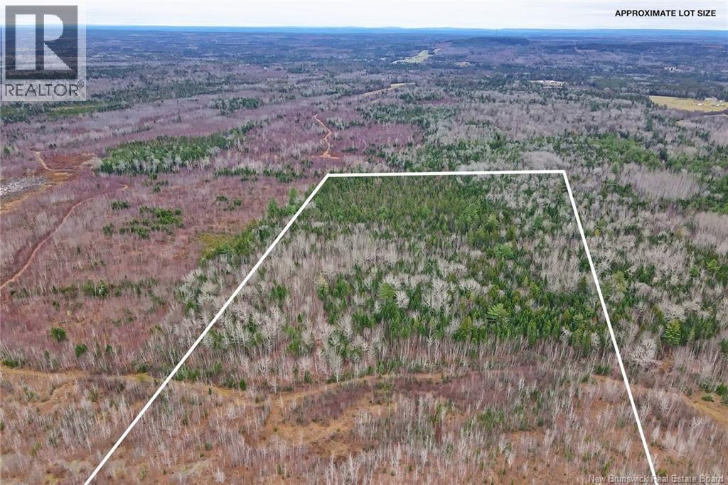 8353 Route 10, Cumberland Bay, New Brunswick  O0O 0O0 - Photo 46 - NB130729