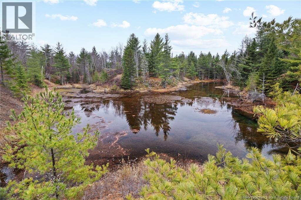 8353 Route 10, Cumberland Bay, New Brunswick  O0O 0O0 - Photo 8 - NB130729