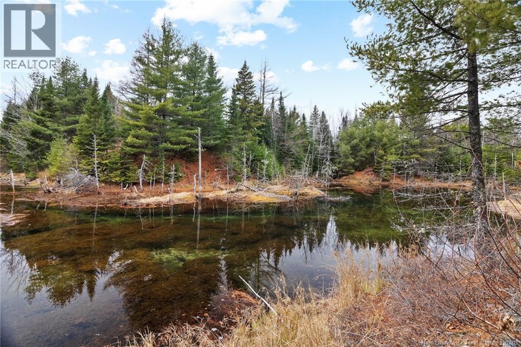 8353 Route 10, Cumberland Bay, New Brunswick  O0O 0O0 - Photo 9 - NB130729