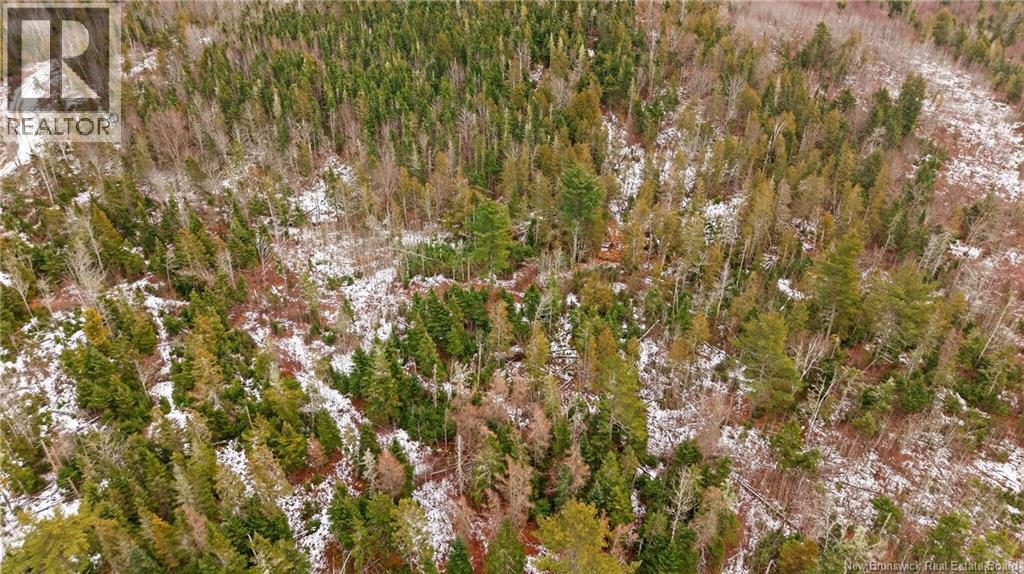 000 Lynnfield Place, Oak Hill, New Brunswick  E5A 2B2 - Photo 6 - NB130640