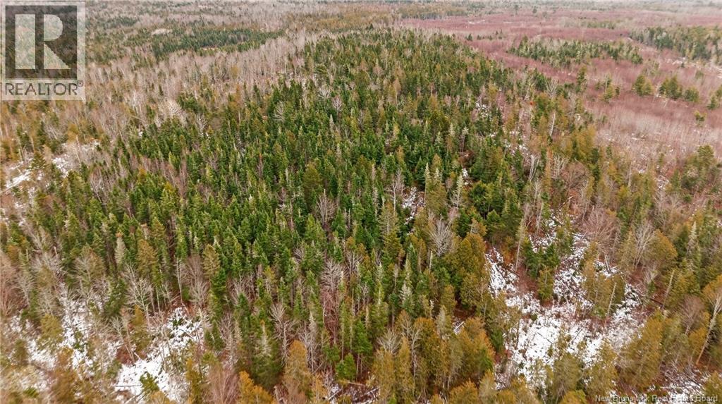 000 Lynnfield Place, Oak Hill, New Brunswick  E5A 2B2 - Photo 7 - NB130640