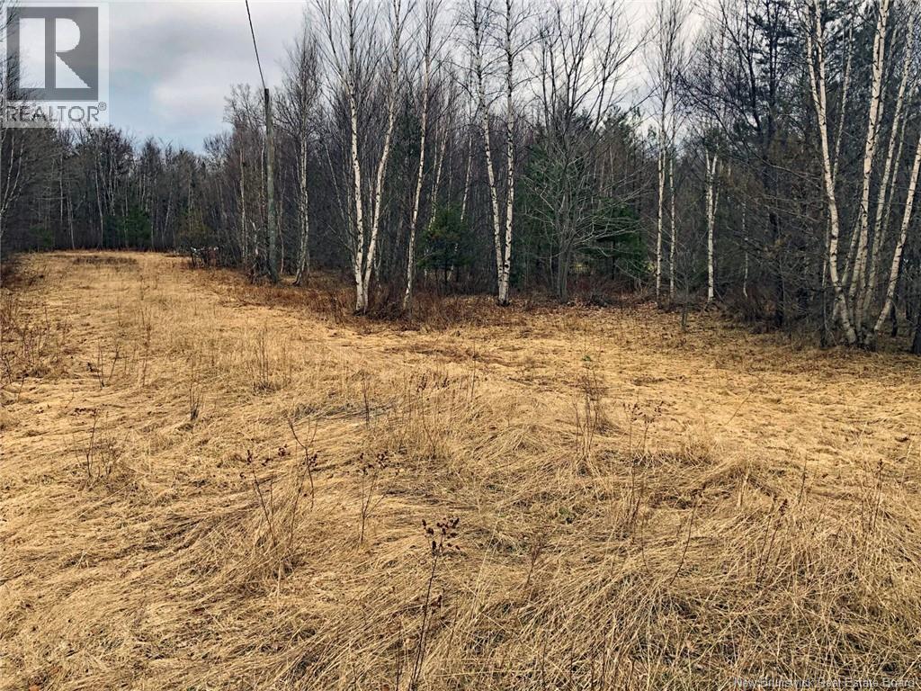 320 Pleasant Drive, Minto, New Brunswick