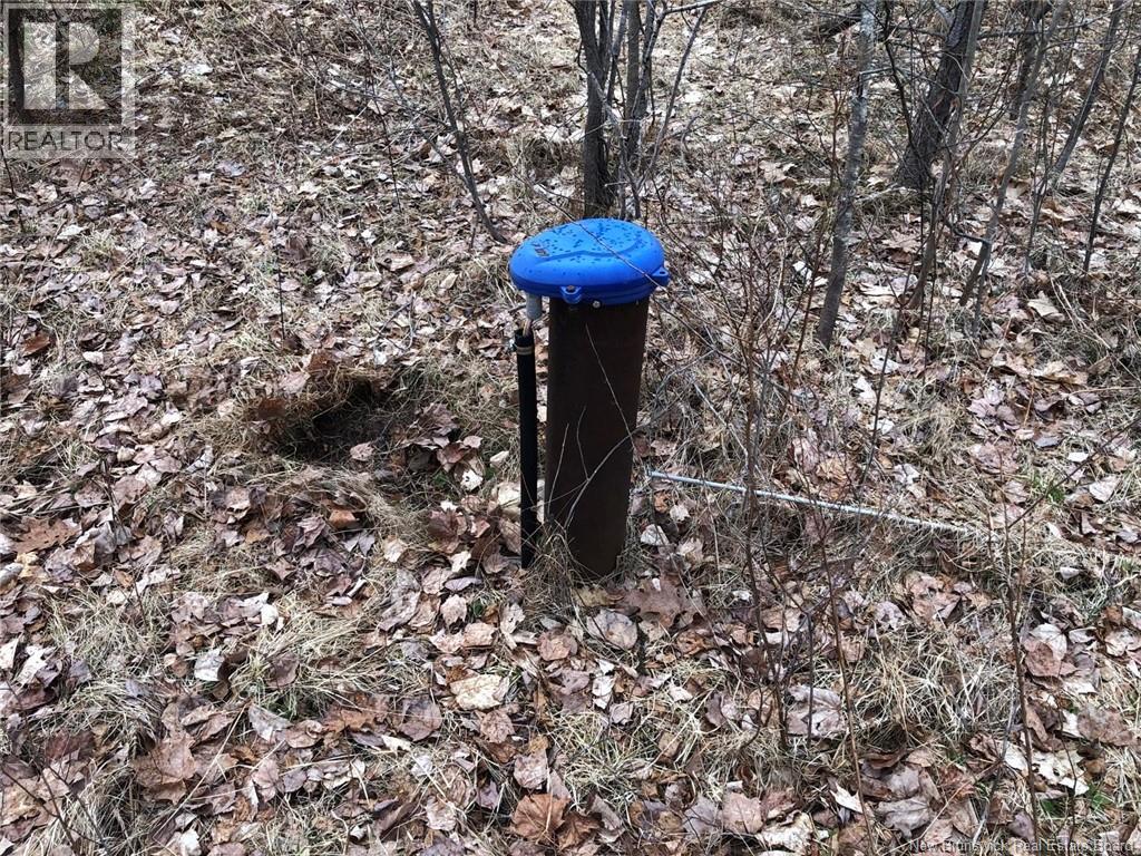 320 Pleasant Drive, Minto, New Brunswick  O0O 0O0 - Photo 2 - NB130779