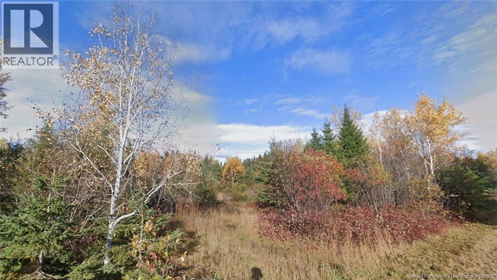 Lot Laurenzo Huard Street, Saint-Jean-Baptiste-De-Restigouche, New Brunswick  E8B 1Y6 - Photo 2 - NB130806