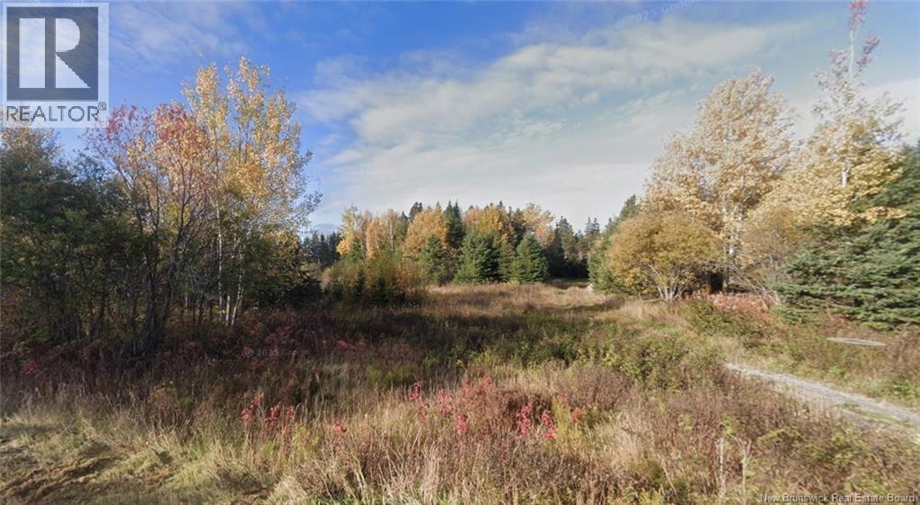 Lot Laurenzo Huard Street, Saint-Jean-Baptiste-De-Restigouche, New Brunswick  E8B 1Y6 - Photo 3 - NB130806