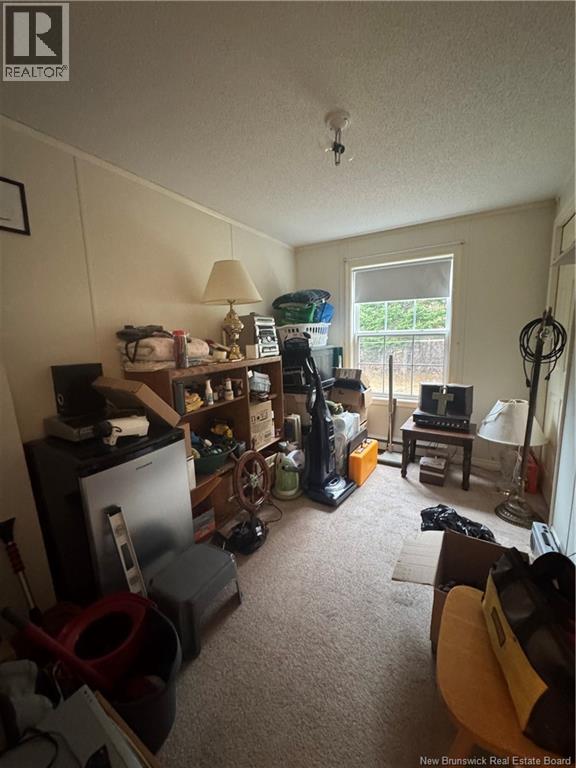 16 Shiloh Road, Grand Manan, New Brunswick  E5G 4M1 - Photo 20 - NB130705