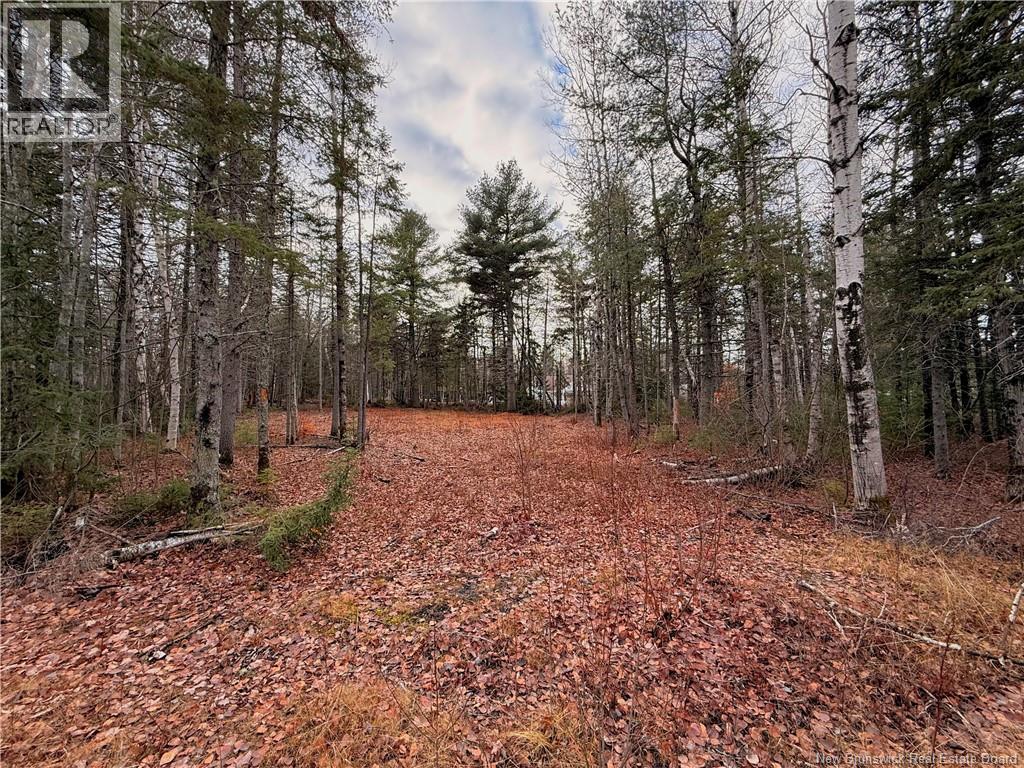 Wellington Street, Loggieville, New Brunswick  E1N 4N3 - Photo 3 - NB130436