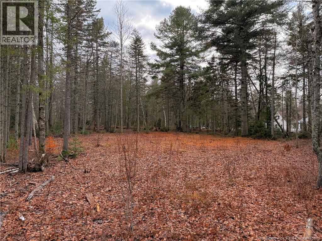 Wellington Street, Loggieville, New Brunswick  E1N 4N3 - Photo 4 - NB130436