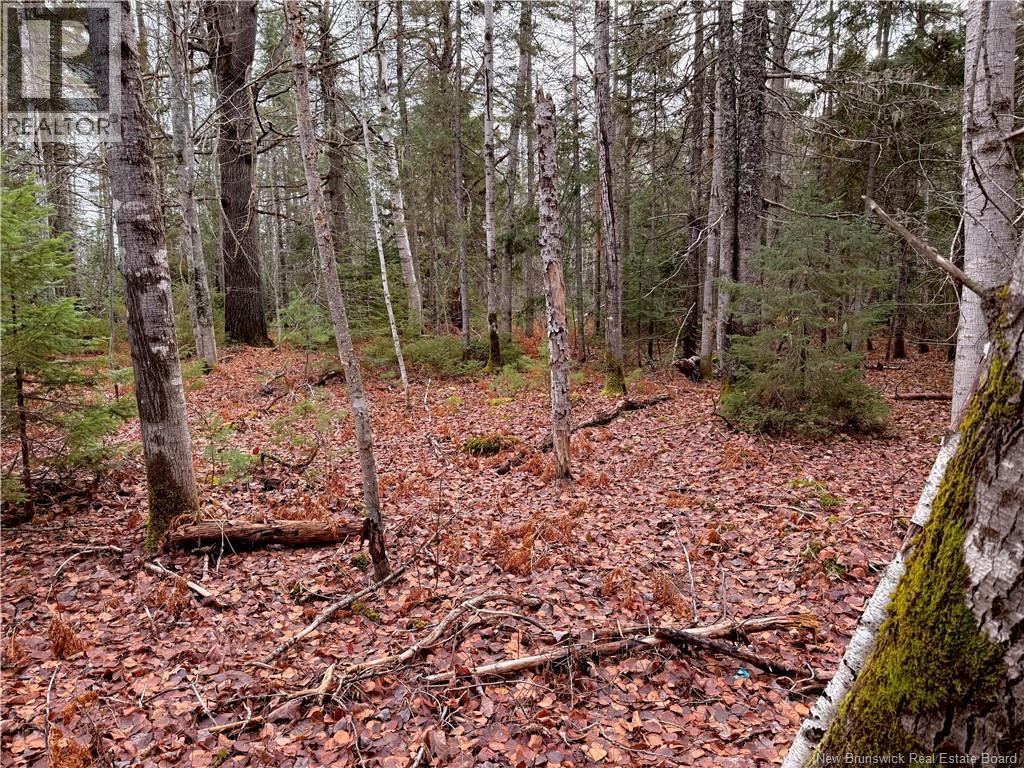 Wellington Street, Loggieville, New Brunswick  E1N 4N3 - Photo 7 - NB130436