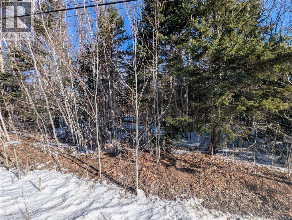 121 Youghall Drive, Bathurst, New Brunswick  E2A 4X5 - Photo 2 - NB130862