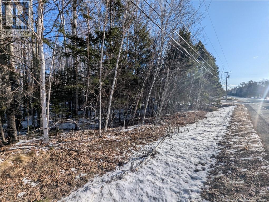 121 Youghall Drive, Bathurst, New Brunswick  E2A 4X5 - Photo 3 - NB130862