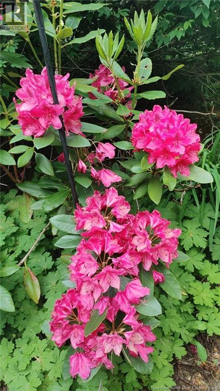 337 Lakeview Drive, Saint John, New Brunswick E2J 3M9 - Photo 39 - NB130707