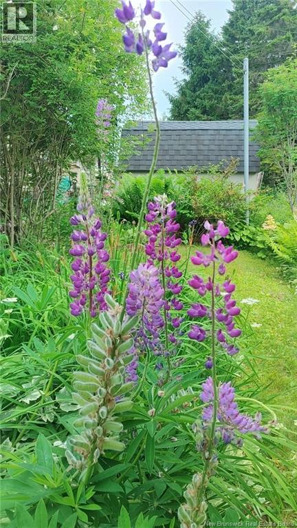 337 Lakeview Drive, Saint John, New Brunswick E2J 3M9 - Photo 40 - NB130707