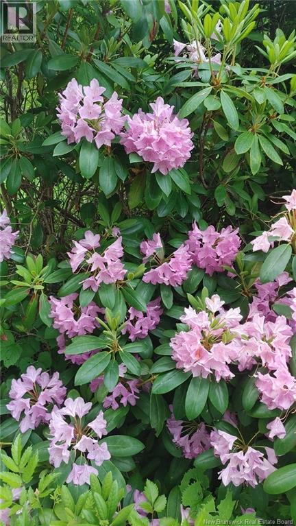 337 Lakeview Drive, Saint John, New Brunswick E2J 3M9 - Photo 41 - NB130707