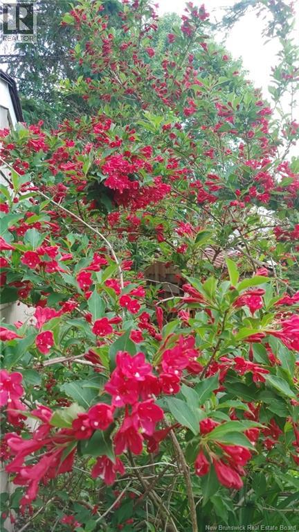 337 Lakeview Drive, Saint John, New Brunswick E2J 3M9 - Photo 42 - NB130707