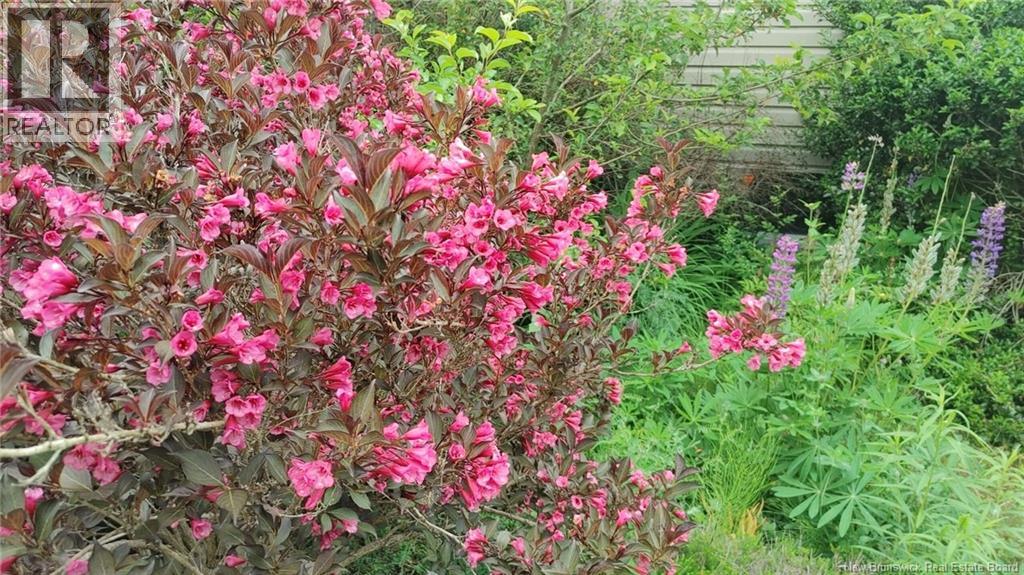 337 Lakeview Drive, Saint John, New Brunswick E2J 3M9 - Photo 43 - NB130707