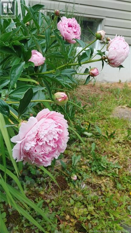 337 Lakeview Drive, Saint John, New Brunswick E2J 3M9 - Photo 44 - NB130707