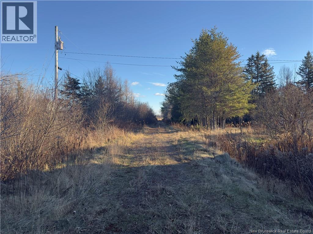 207 West Harcourt Road, Harcourt, New Brunswick E4T 2Y3 - Photo 3 - NB130902