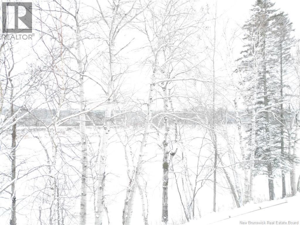 1536 Route 390, Arthurette, New Brunswick  E7H 4R8 - Photo 10 - NB130973