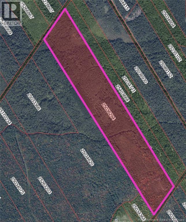 Lot Bristol Road, Saint-Paul, New Brunswick  E4T 3C9 - Photo 1 - NB130991