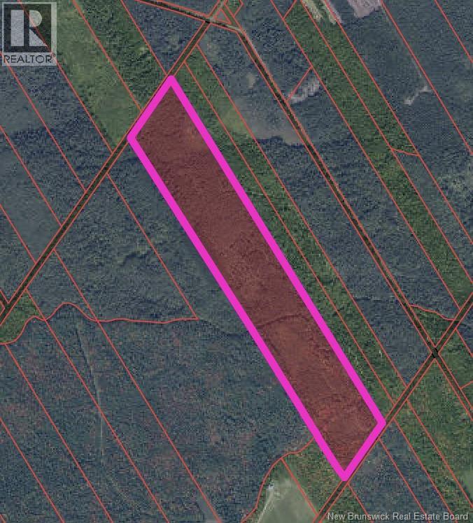 Lot Bristol Road, Saint-Paul, New Brunswick  E4T 3C9 - Photo 2 - NB130991