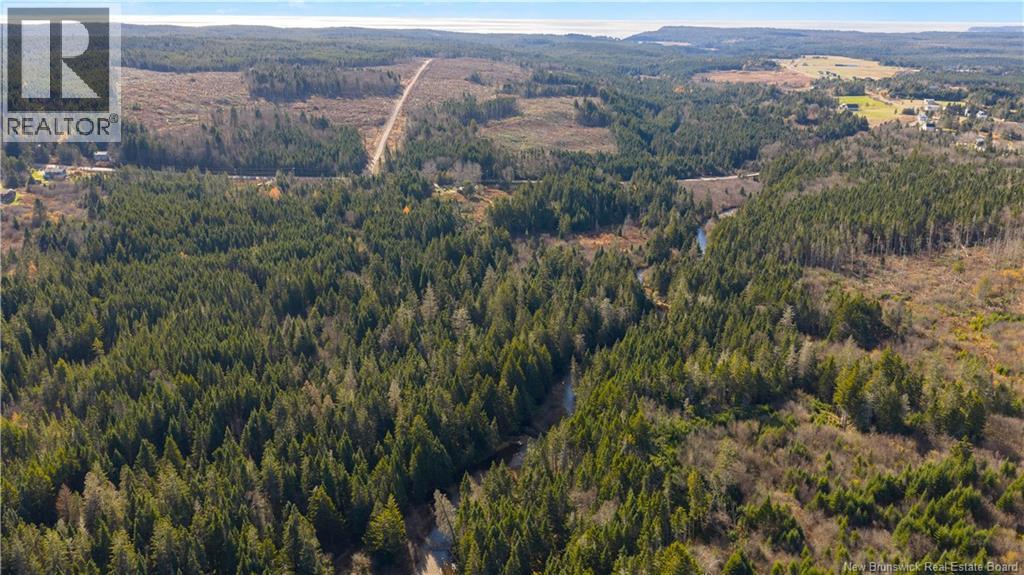 Lot - Route 111, Bains Corner, New Brunswick  E5R 1R1 - Photo 10 - NB129908