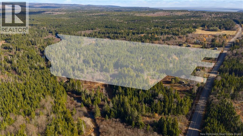 Lot - Route 111, Bains Corner, New Brunswick  E5R 1R1 - Photo 3 - NB129908
