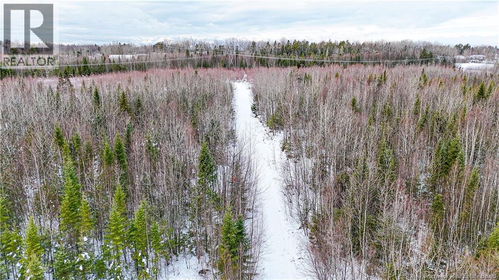 Lot Pine Glen Road, Riverview, New Brunswick E1J 1R8 - Photo 4 - NB131291