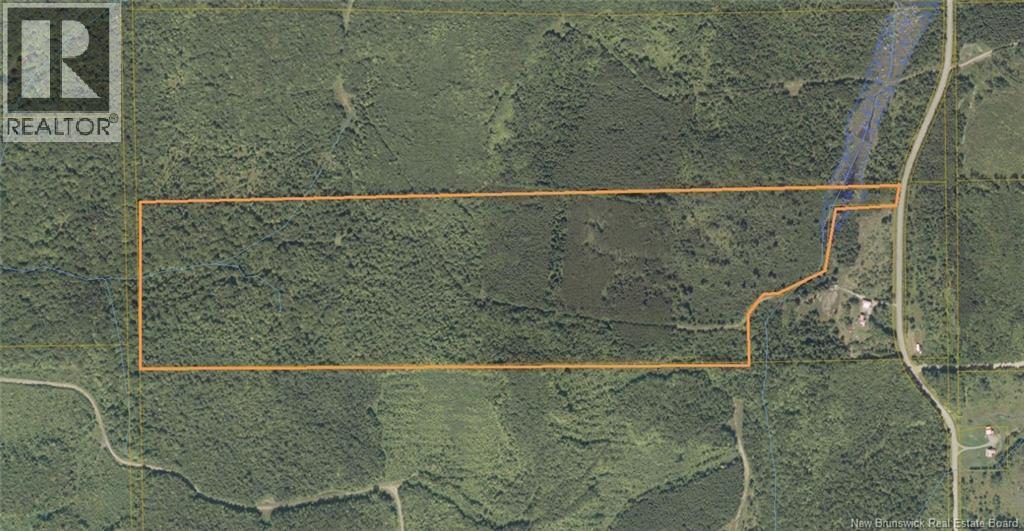 0 East Knowlesville Road, East Knowlesville, New Brunswick E7L 1M4 - Photo 1 - NB131478