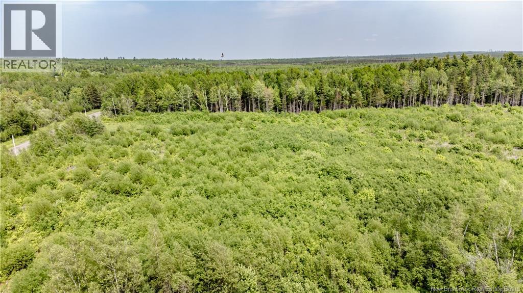 1175 Saint-Sosime Road, Adamsville, New Brunswick  E4T 3V9 - Photo 8 - NB131591