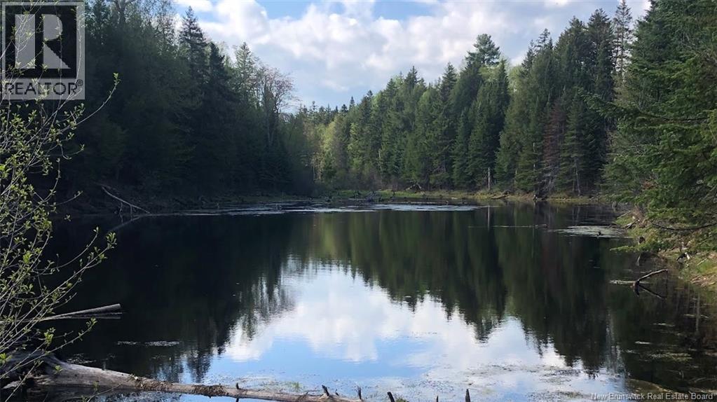 336 Maclaggan Drive, Blackville, New Brunswick  E9B 1H7 - Photo 25 - NB131649