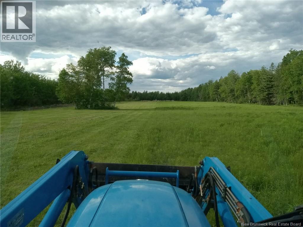 336 Maclaggan Drive, Blackville, New Brunswick  E9B 1H7 - Photo 27 - NB131649