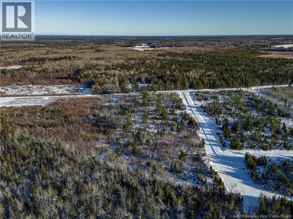 Lot 25-10 Hannay Road, Galloway, New Brunswick  E4W 2M4 - Photo 16 - NB131680