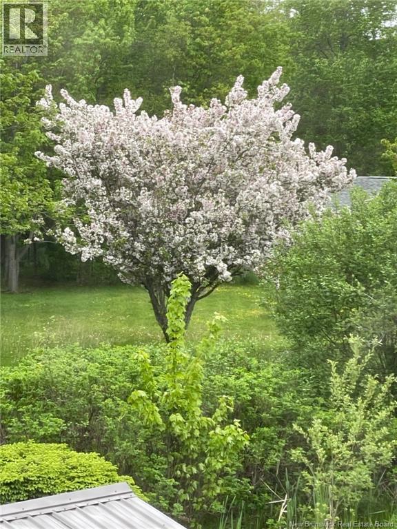 711 Shediac Road, Moncton, New Brunswick  E1A 5X8 - Photo 46 - NB131770