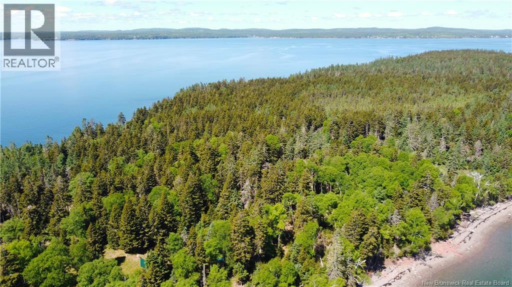 Lot 2 Navy Island, Saint Andrews, New Brunswick E5B 2H1 - Photo 8 - NB131744