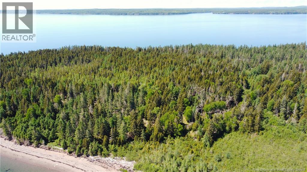 Lot 2 Navy Island, Saint Andrews, New Brunswick E5B 2H1 - Photo 9 - NB131744