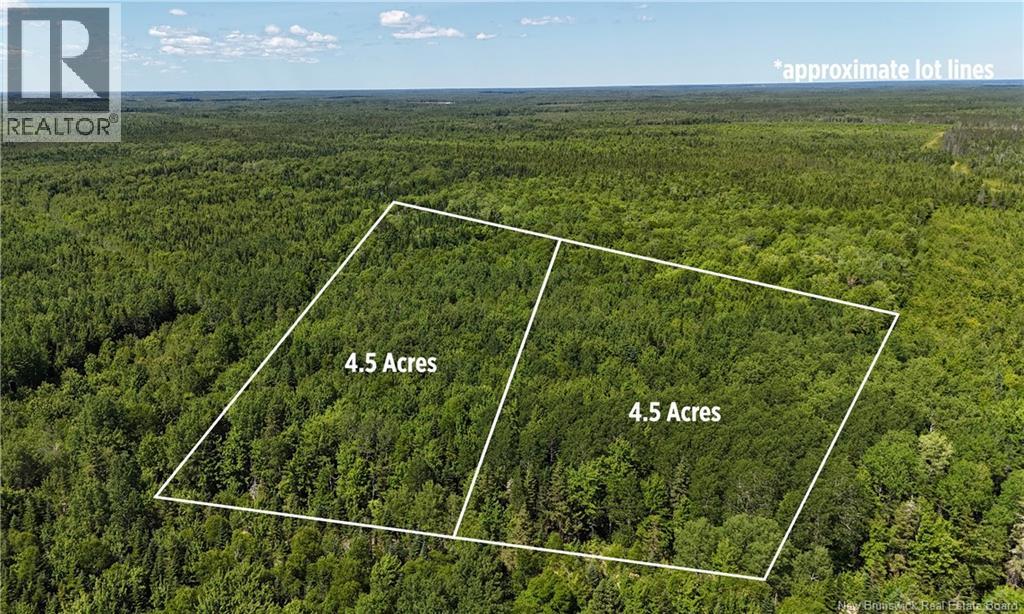 Lot Cormier Village Road, Saint-Paul, New Brunswick  E4T 3H3 - Photo 5 - NB131932