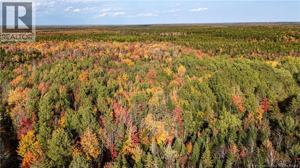 Lot Cormier Village Road, Saint-Paul, New Brunswick  E4T 3H3 - Photo 8 - NB131932