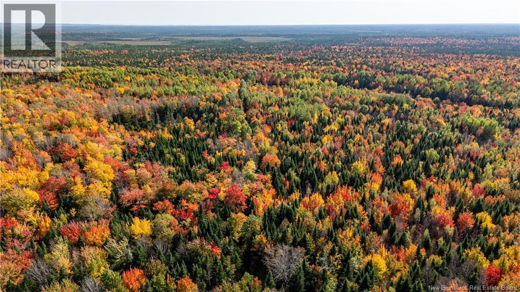 Lot Cormier Village Road, Saint-Paul, New Brunswick  E4T 3H3 - Photo 9 - NB131932