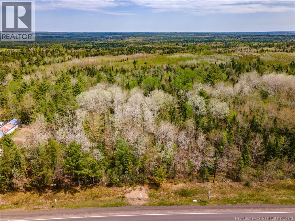 Lot Route 10, Coles Island, New Brunswick  E4C 2P4 - Photo 3 - NB131956