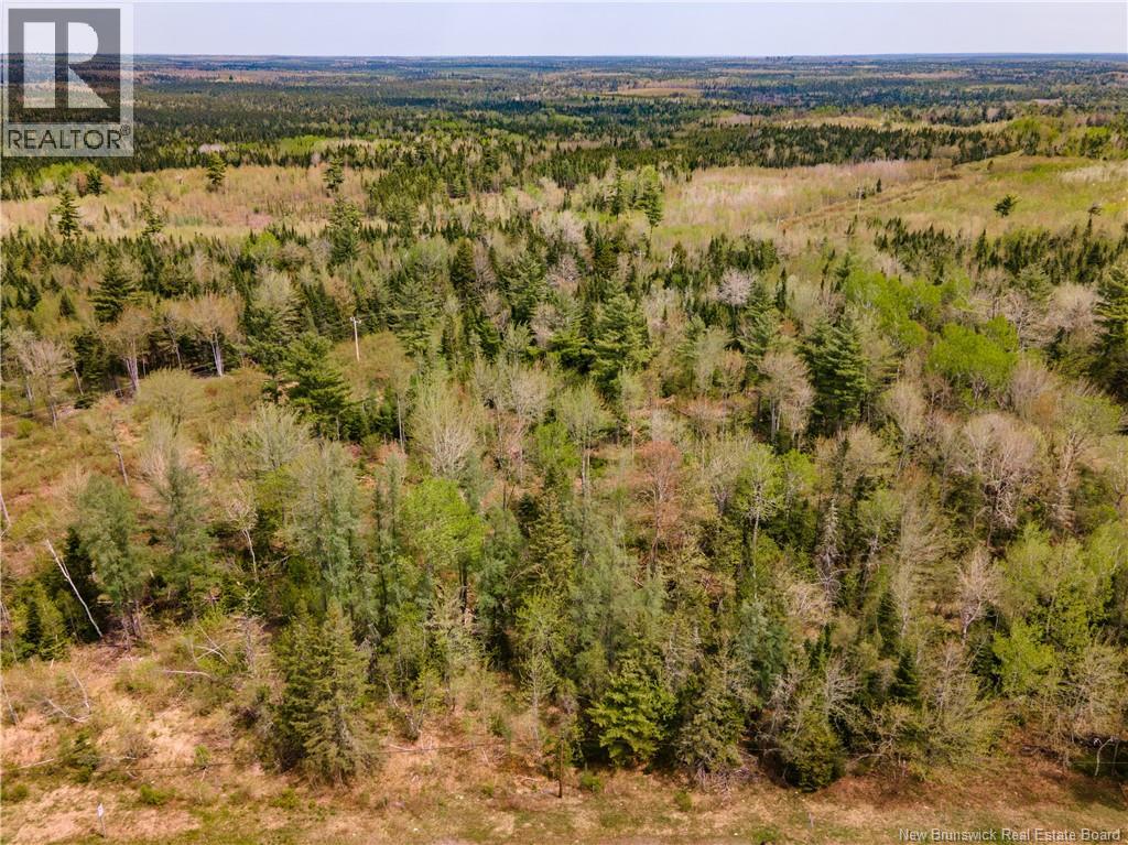 Lot Route 10, Coles Island, New Brunswick  E4C 2P4 - Photo 4 - NB131956