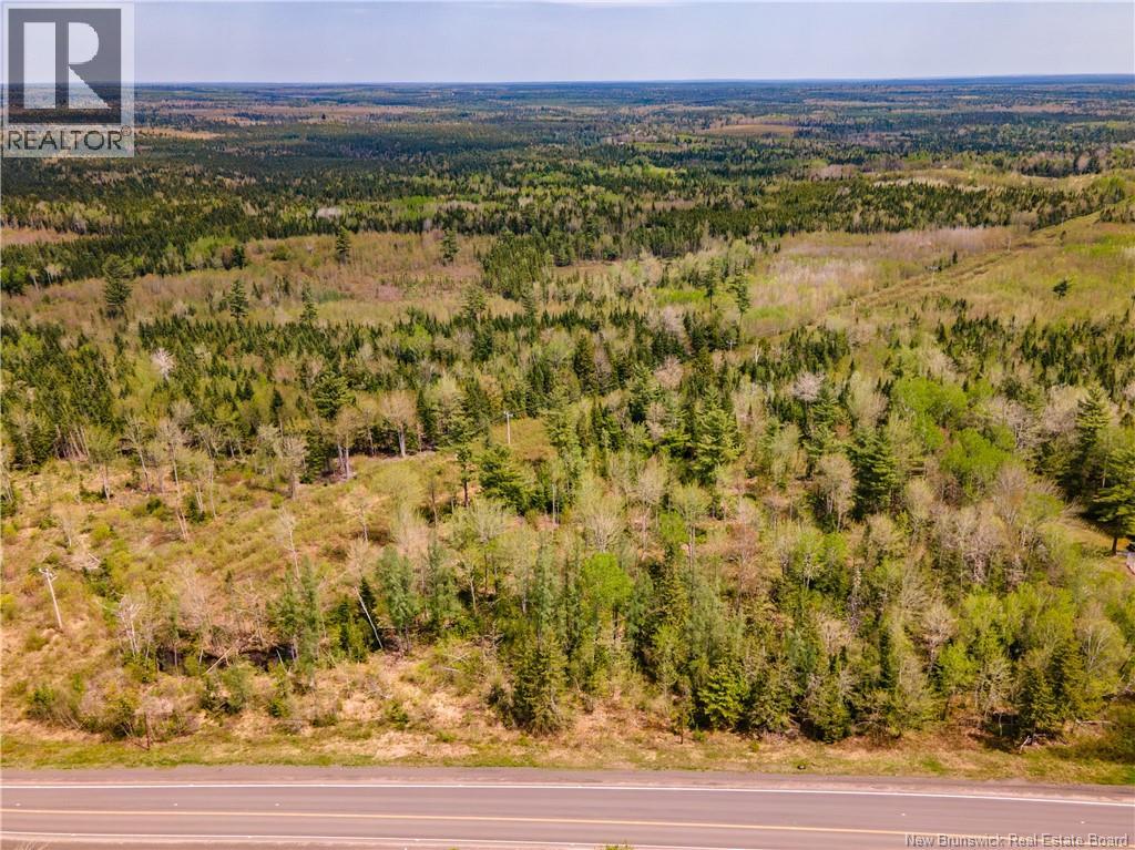 Lot Route 10, Coles Island, New Brunswick  E4C 2P4 - Photo 6 - NB131956