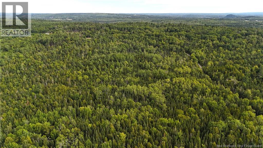 135 Pine Point Road, Dufferin, New Brunswick  E3L 0G7 - Photo 48 - NB131699