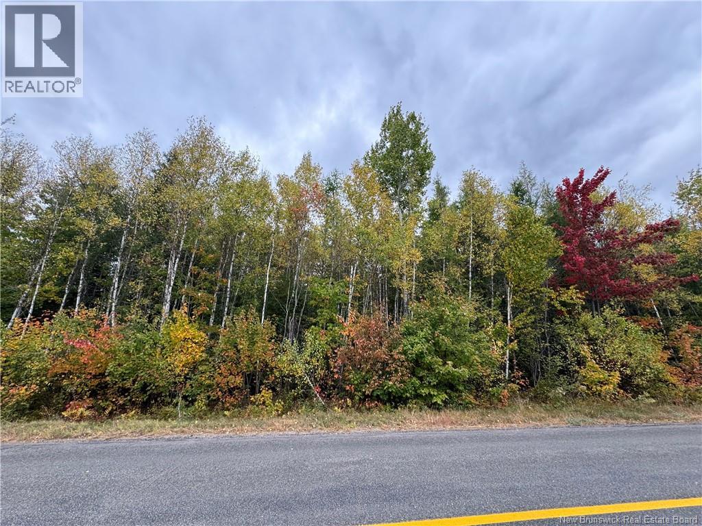 Blueberry Lane, Codys, New Brunswick E4C 1E3 - Photo 5 - NB132130