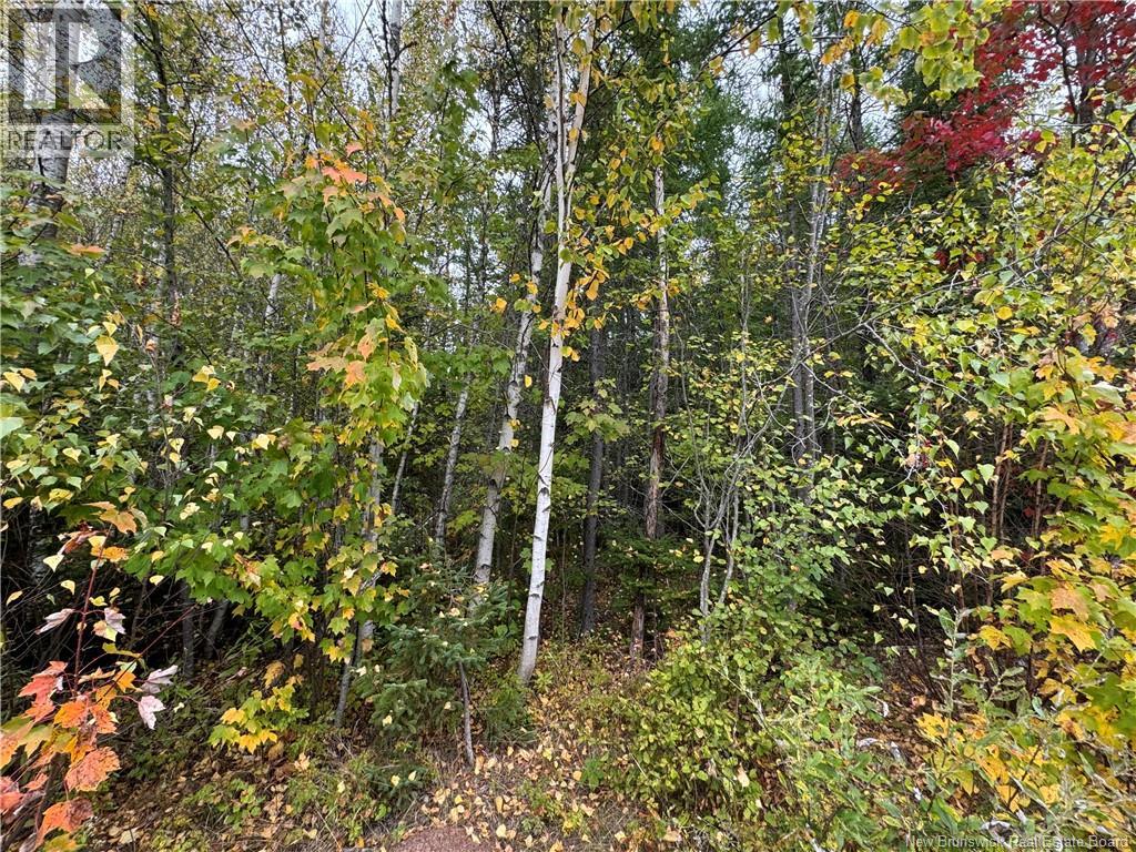 Blueberry Lane, Codys, New Brunswick E4C 1E3 - Photo 7 - NB132130